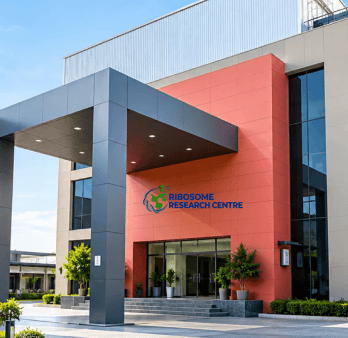 Main Building - RRC