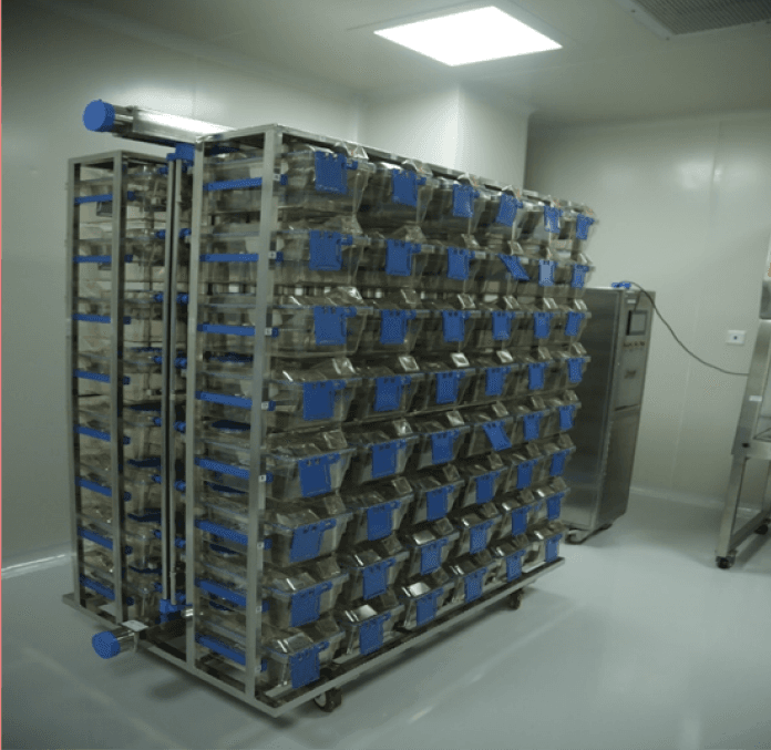 In Vivo Facility