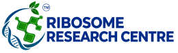 Ribosome Research Centre