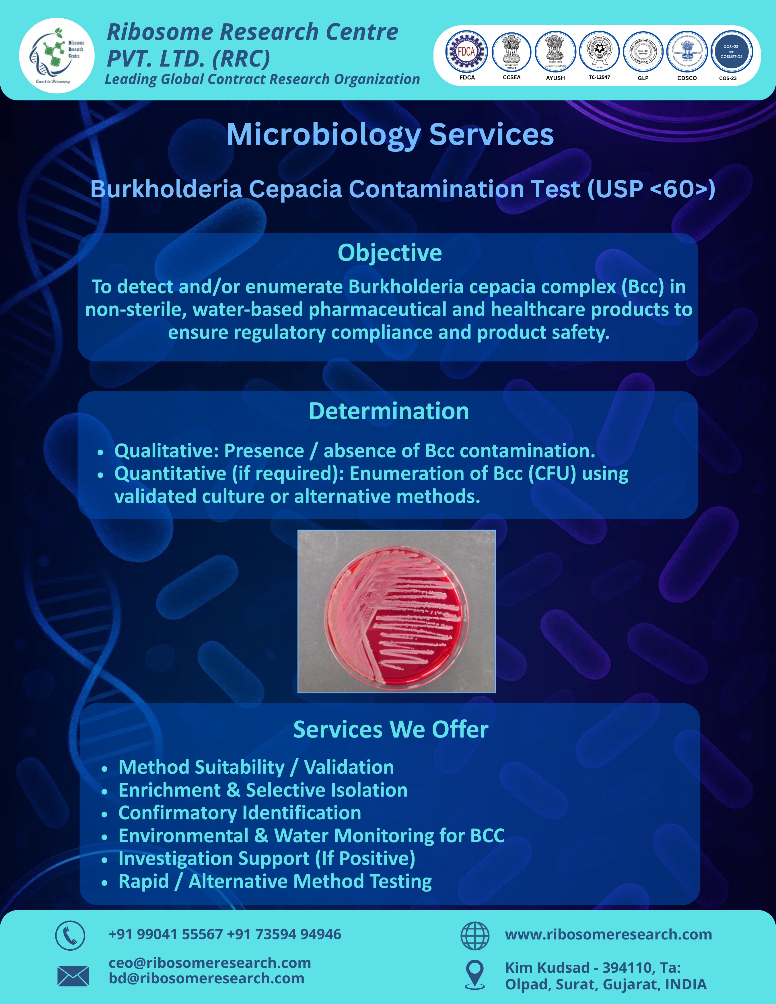 Burkholderia Cepacia Contamination Test (USP <60>)
